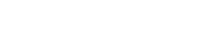 platin-logo-white